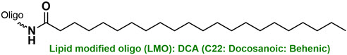 Bio-Synthesis Inc. Oligo Structure